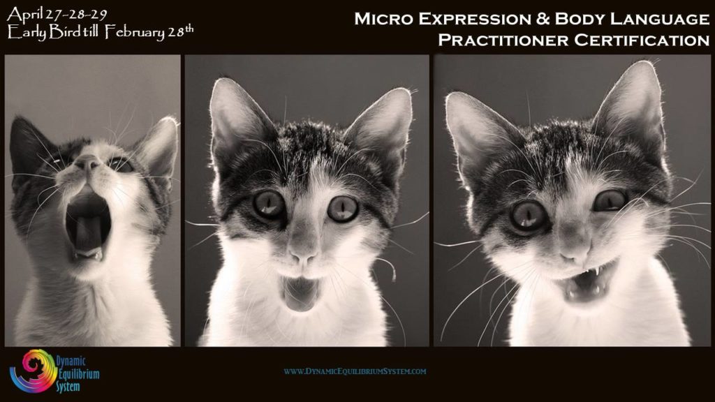 micro expression